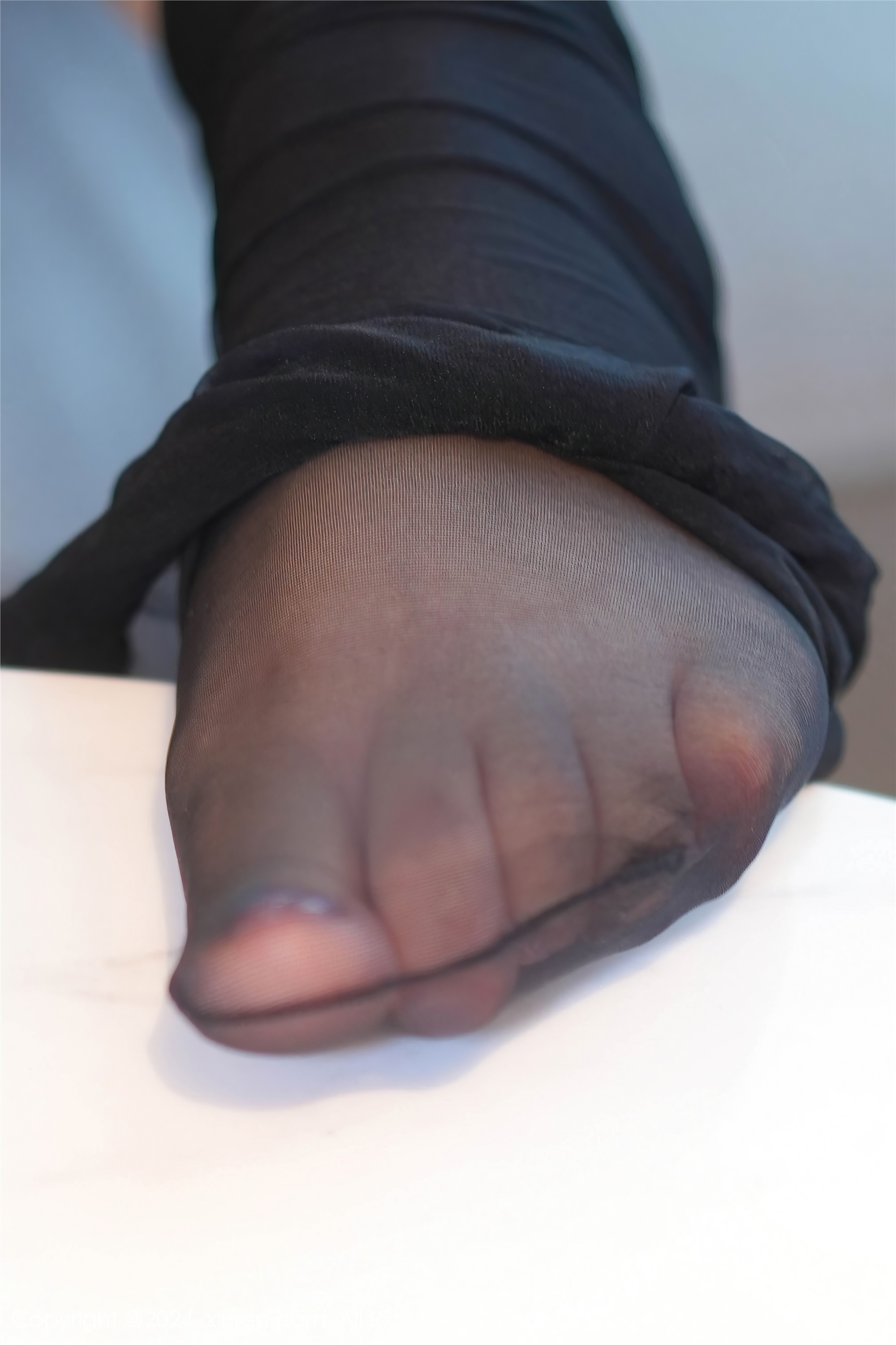 Xiuren秀人网 2024.03.15 NO.8236 妲己_Toxic